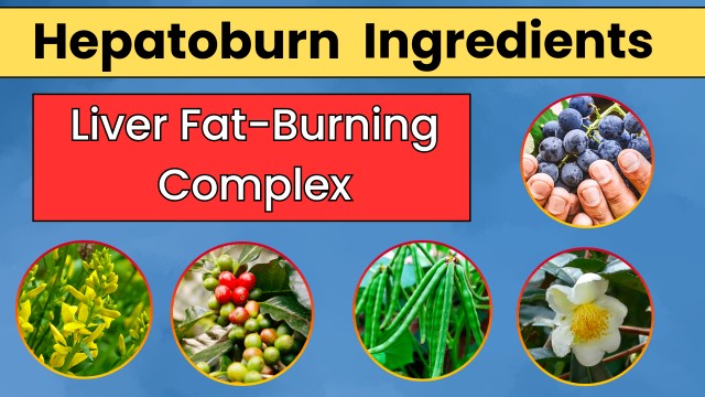 hepatoburn