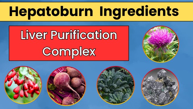 hepatoburn