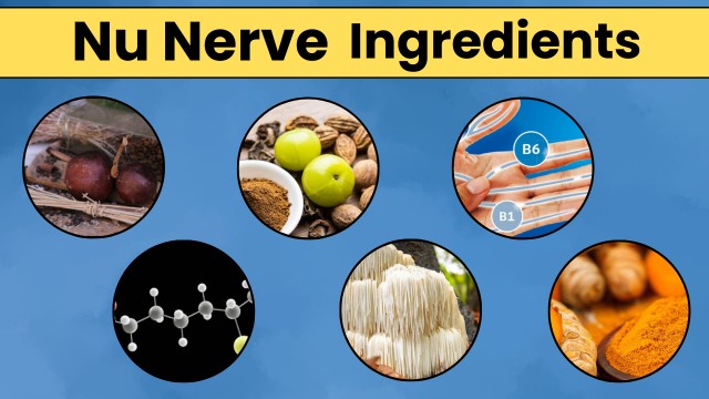 nu nerve